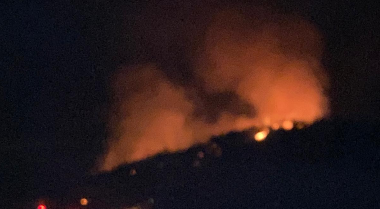 Bodrum'da çıkan orman yangını kontrol altına alındı